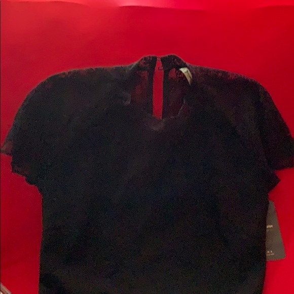 Zara Trafaluc Collection Dress - Picture 3 of 8